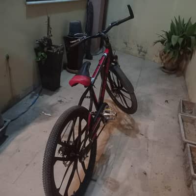 Bicycle in Genuine Condition
