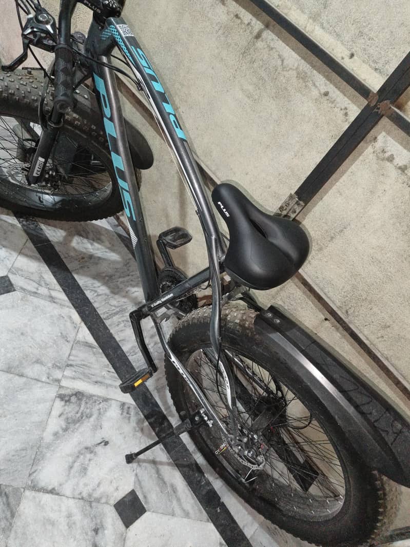 bycycle 1