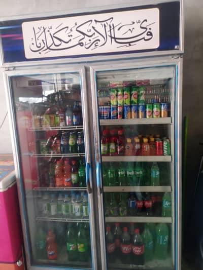 Varioline double door Chiller Fridge