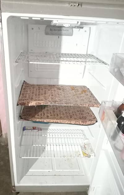 full size fridge hn