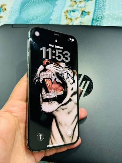 iPhone 12 Pro Max (256)