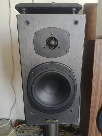 Tannoy mercury m2