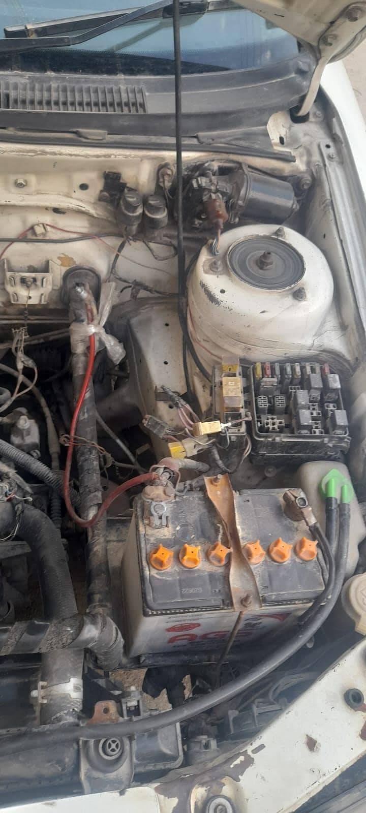 baleno 10
