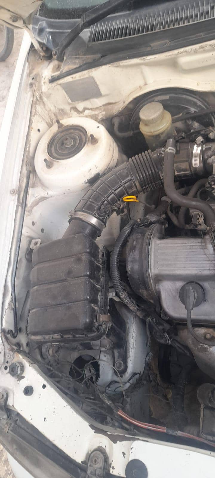baleno 13