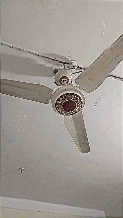 AC DC FAN