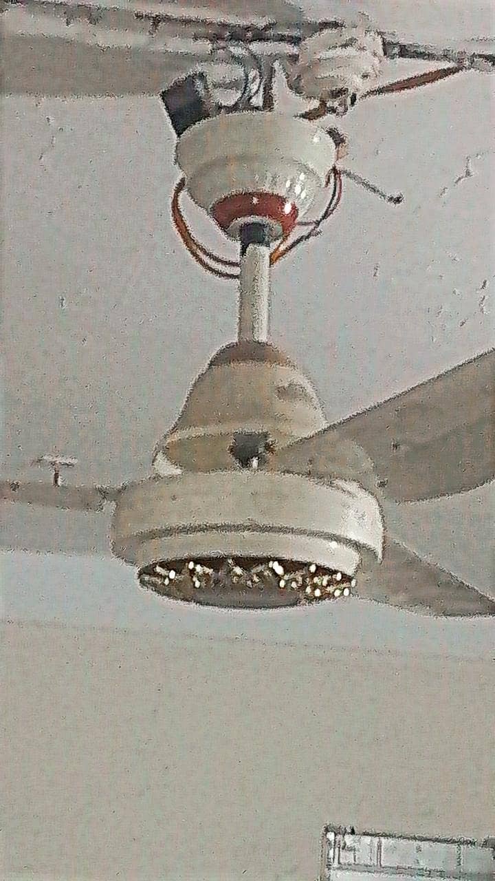 AC DC FAN 3