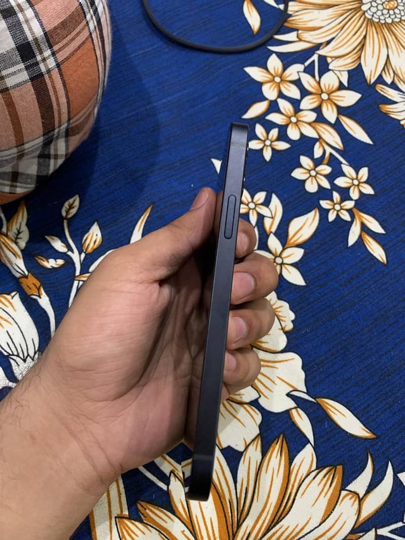 iPhone 12 1