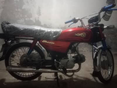03137269034