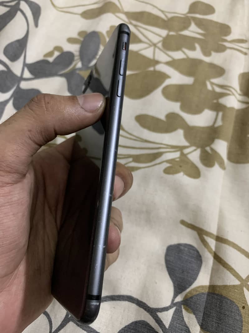 8plus 4