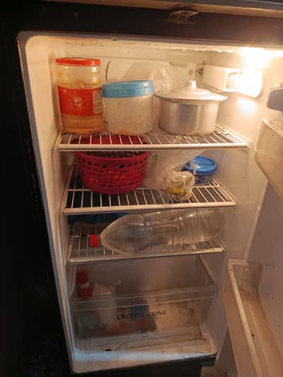 Pel Fridge