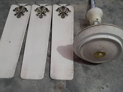 Ceiling fans (Royal fans)Skin colour