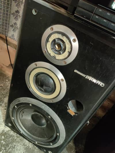 Japani speaker