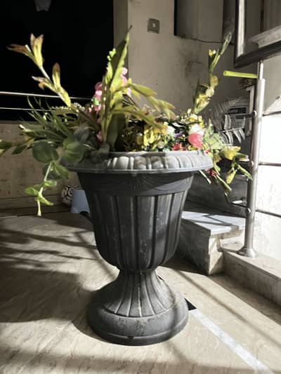 Beautiful flowers