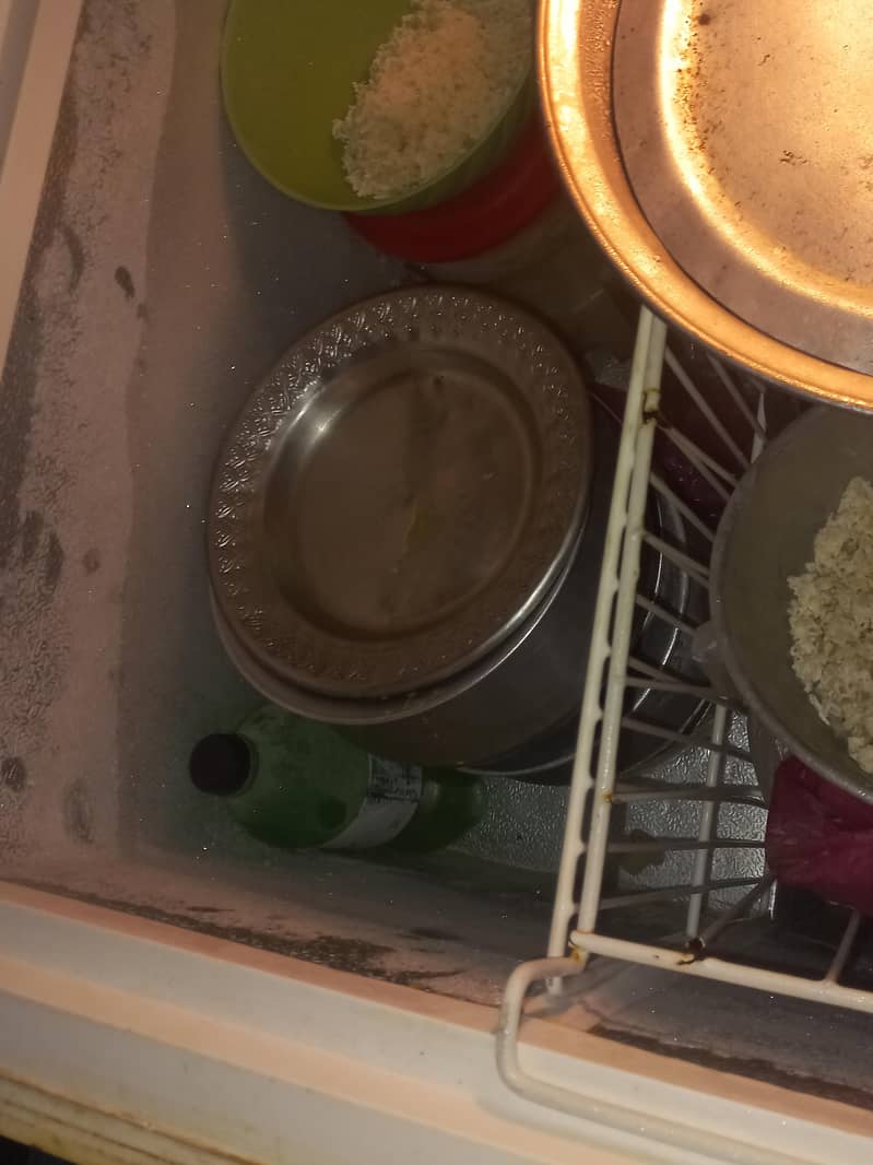 Waves deep freezer 5