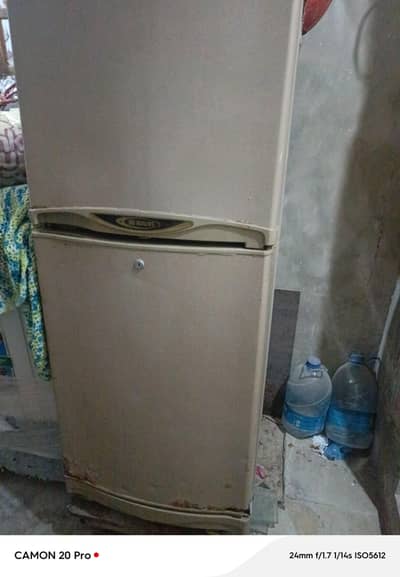 Pell medium size