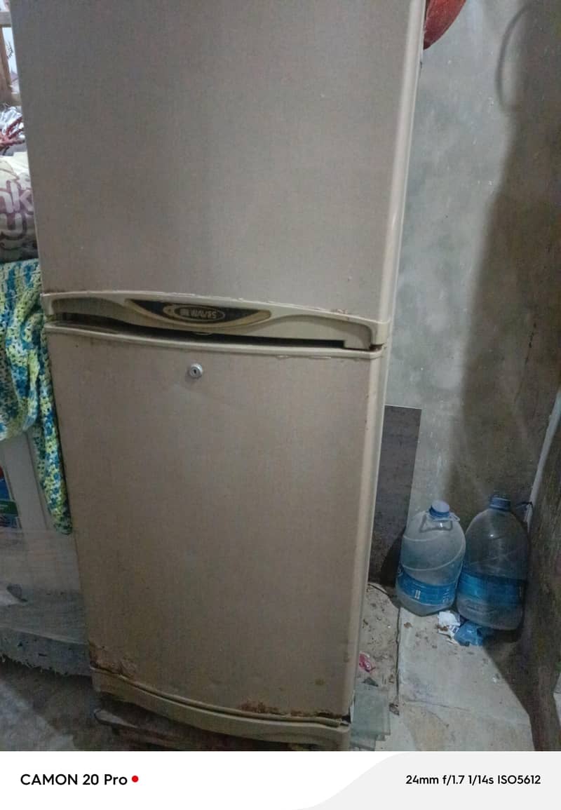 Pell medium size 0