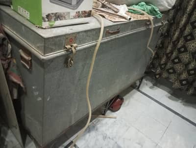 trunk pati for sale