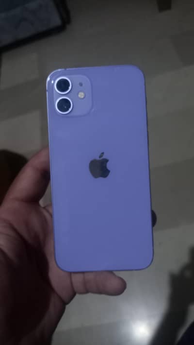 iphone 12 non pta fu