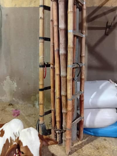 baans(bamboo)