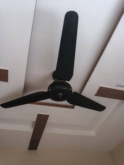 Black color 56 inch fan for sale in good condition only few month use