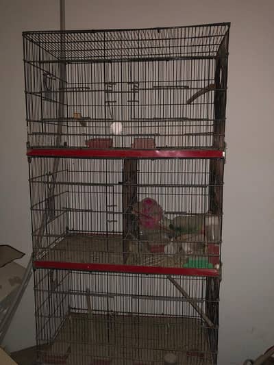 Two Cages Available