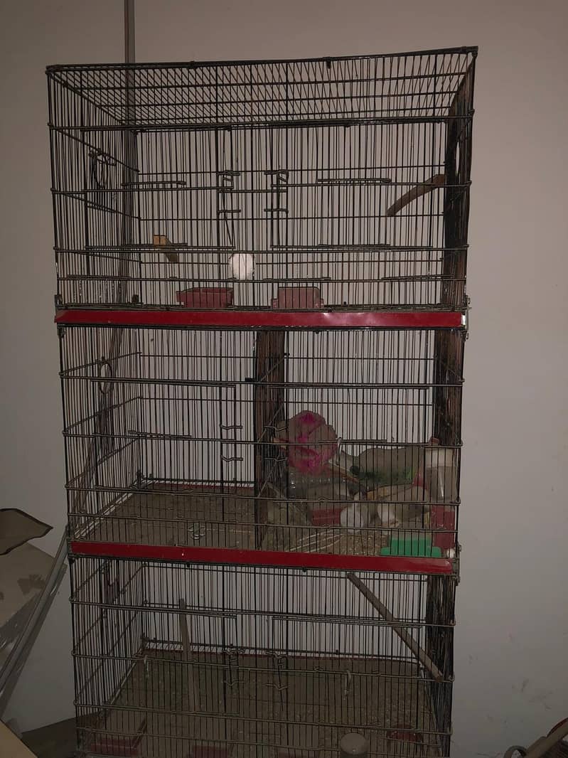 Two Cages Available 0