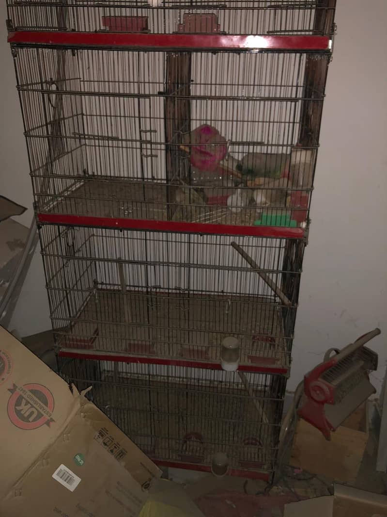 Two Cages Available 2