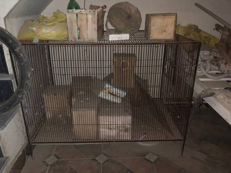 Two Cages Available 4