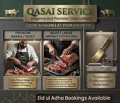 Qasai Available 2026