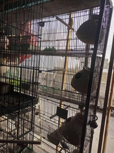 jhagir 6 cages for sale 10 portion