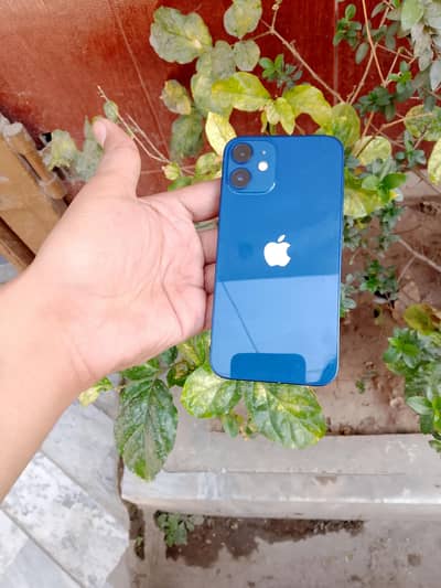 I phone 12 mini for sale
