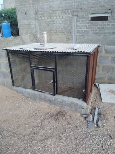 hen cage