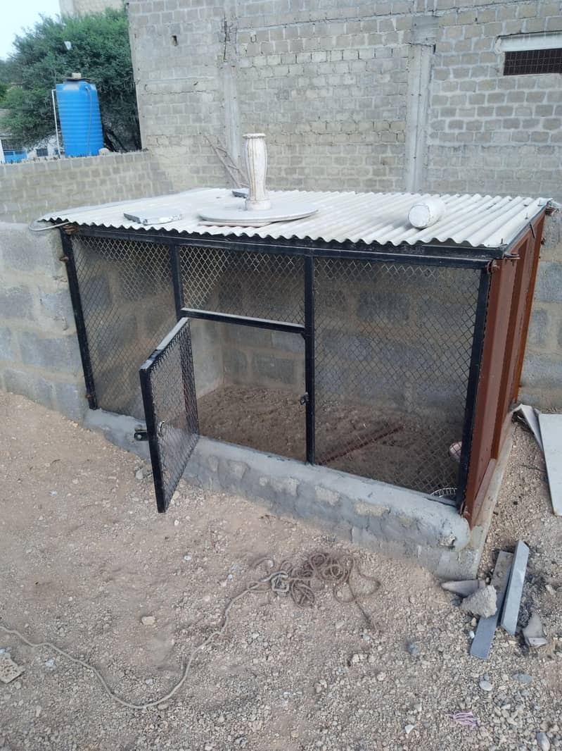hen cage 3