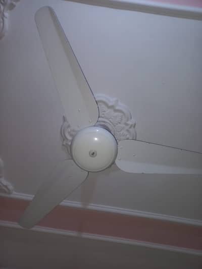 Sk fans for sale