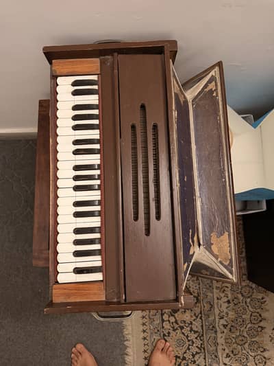 Indian classical harmonium for sale