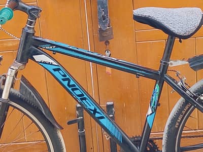 Phoenix bicycle for sale.