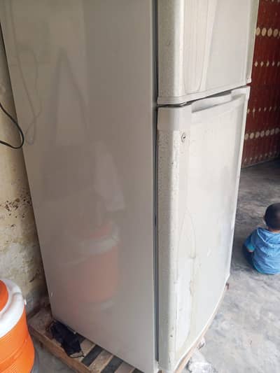 frige