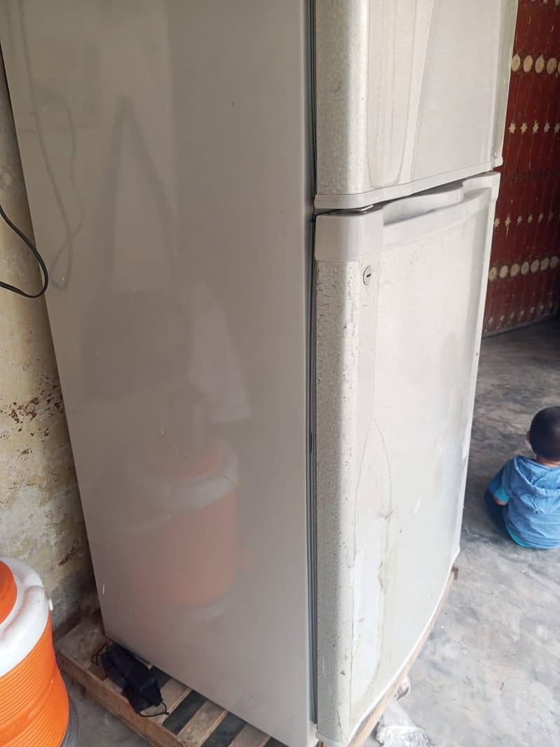 frige 0