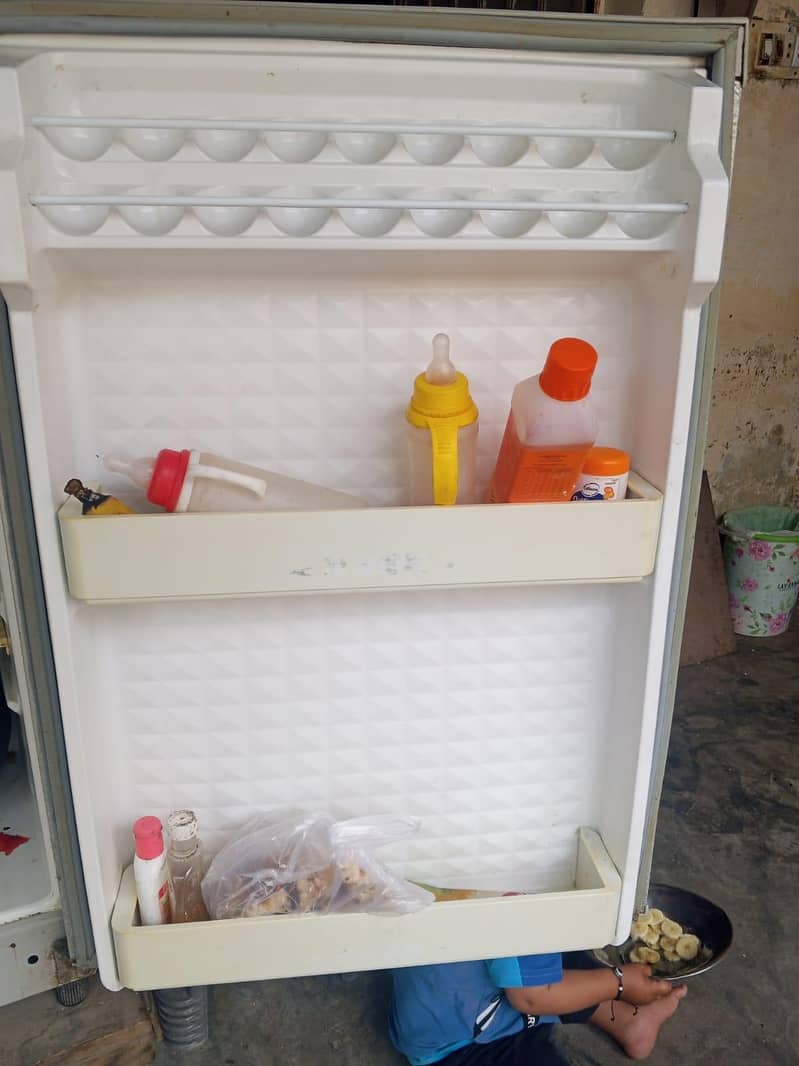 frige 5
