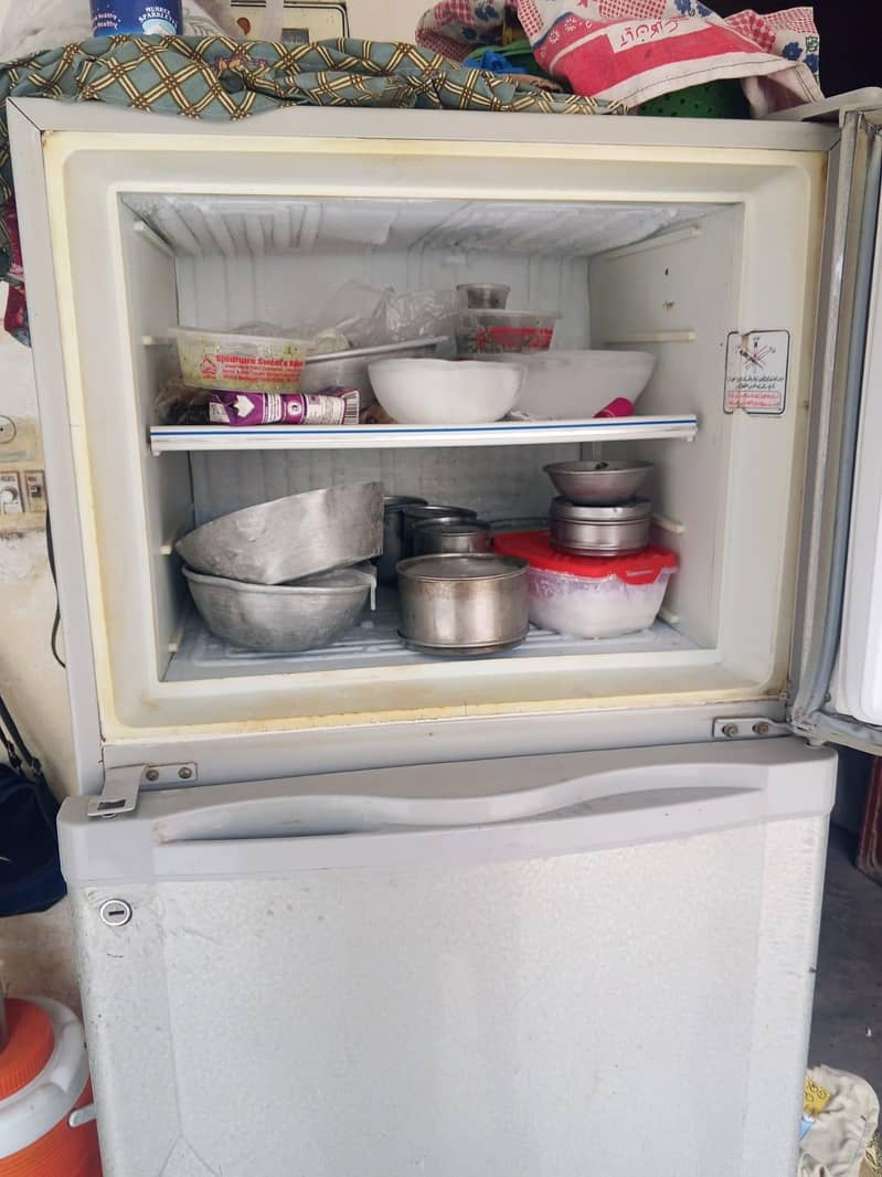 frige 8