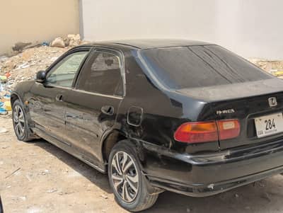 civic dolphin
