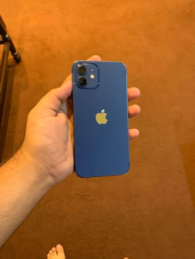 iPhone 12