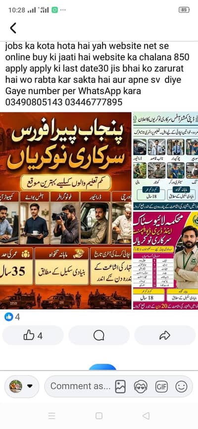 government and private job available only 6 month apply raabta Karen