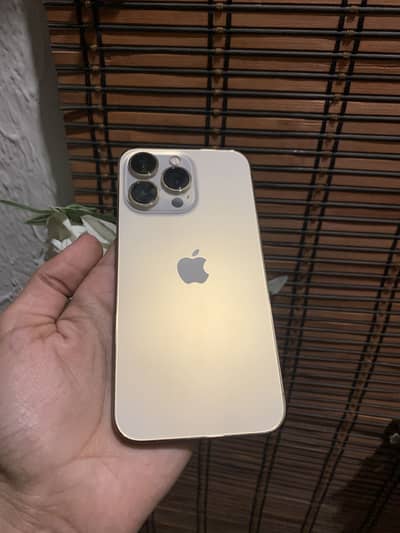 Iphone 13 pro Pta Approved