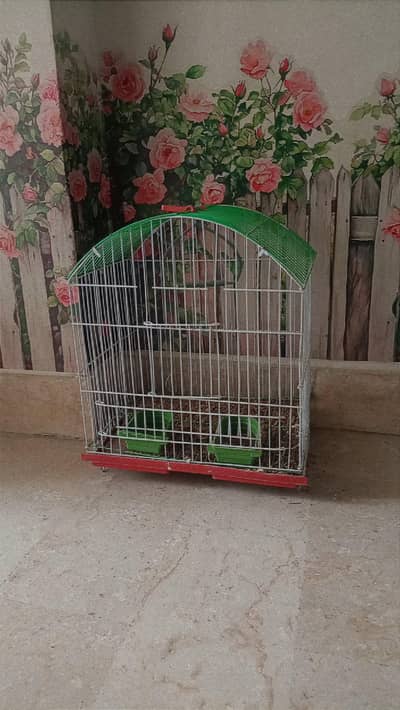 Bird Cage