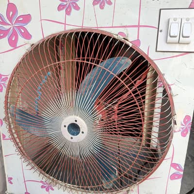 DC 12W COOLER