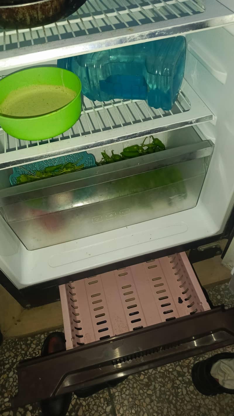 fridge 2