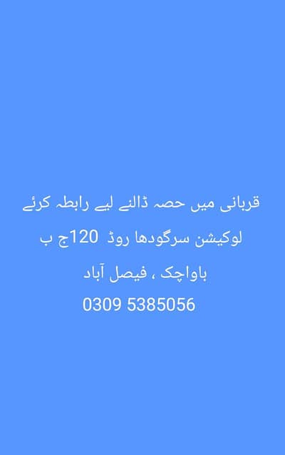 قربانی میں حصہ ڈالنے لیے رابطہ کرئے لوکیشن سرگودھا روڈ  120ج ب باواچک