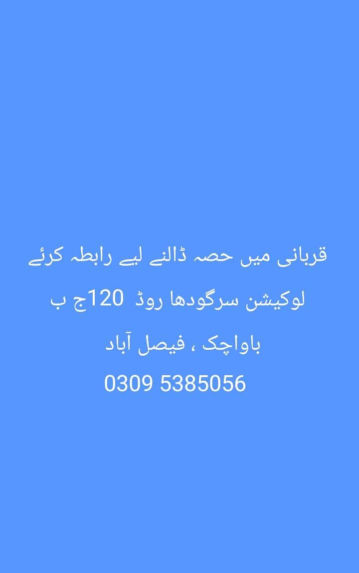 قربانی میں حصہ ڈالنے لیے رابطہ کرئے لوکیشن سرگودھا روڈ  120ج ب باواچک 0