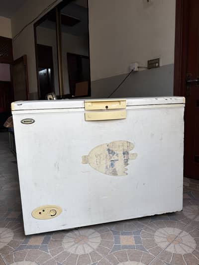 Single Door Two In One WAVES Freezer
